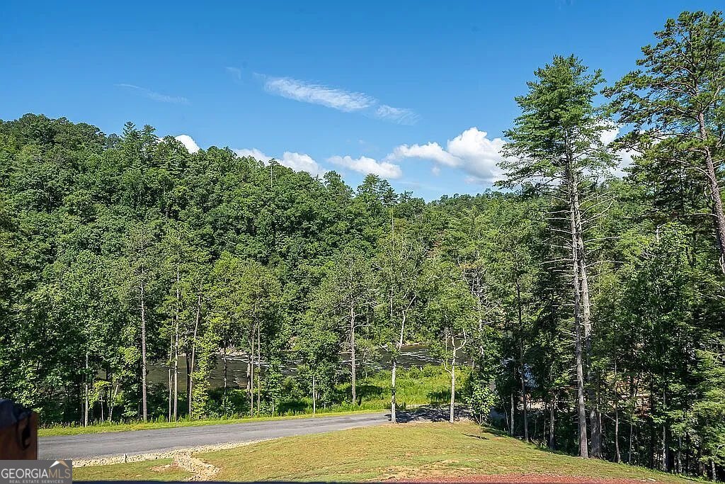 1281 High River Crossing Ellijay GA 30540