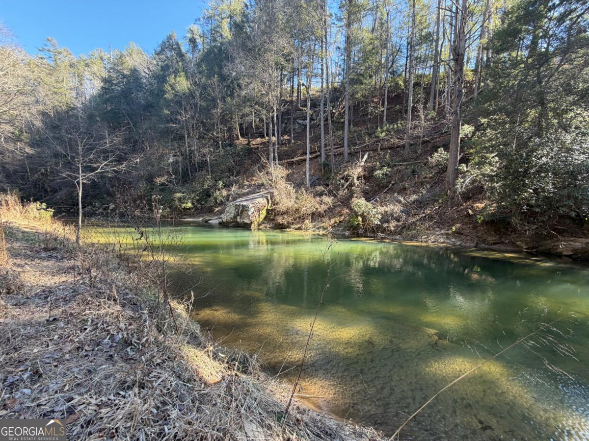 1281 High River Crossing Ellijay GA 30540