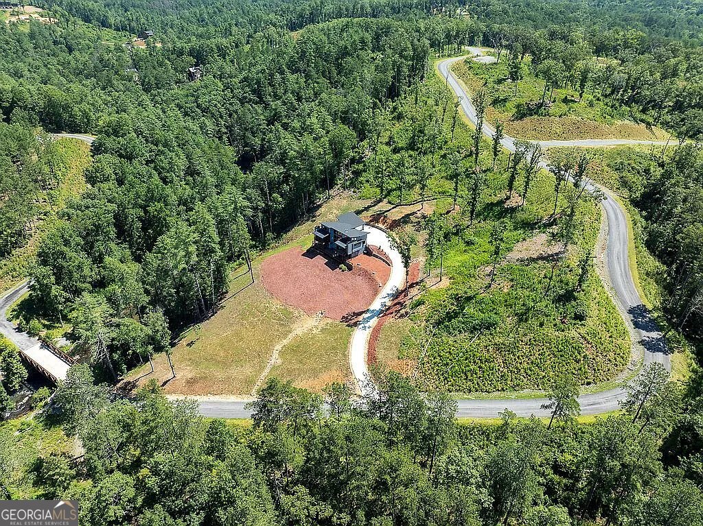 1281 High River Crossing Ellijay GA 30540
