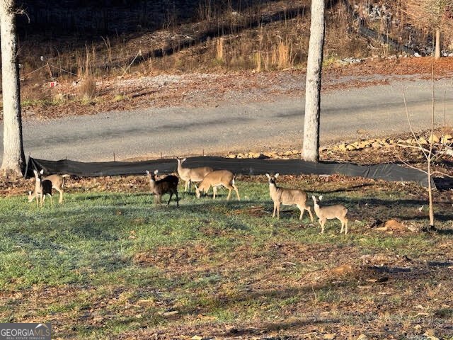 1281 High River Crossing Ellijay GA 30540