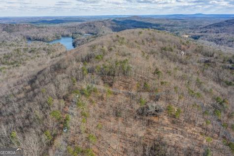 100 Indian Pipe Drive Jasper GA 30143