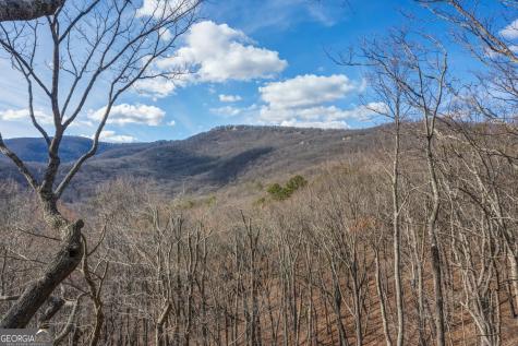 100 Indian Pipe Drive Jasper GA 30143