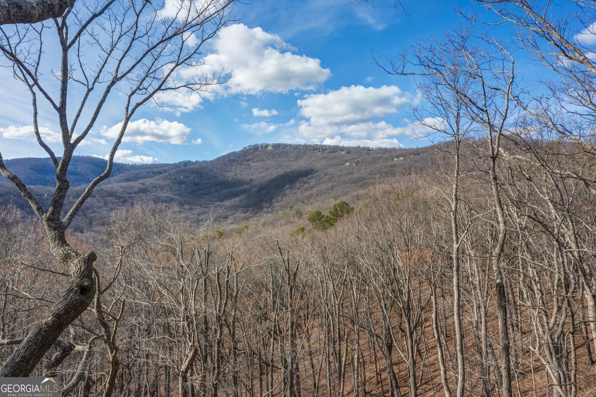100 Indian Pipe Drive Jasper GA 30143
