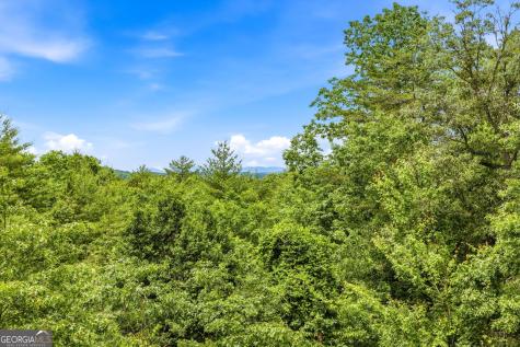 915 Sillycook Trail Clarkesville GA 30523