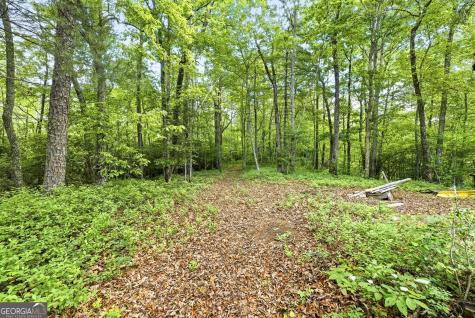 915 Sillycook Trail Clarkesville GA 30523