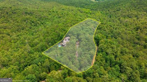 915 Sillycook Trail Clarkesville GA 30523
