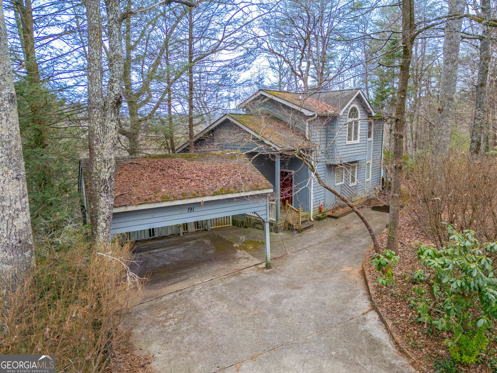 191 Applewood Drive Tiger GA 30576