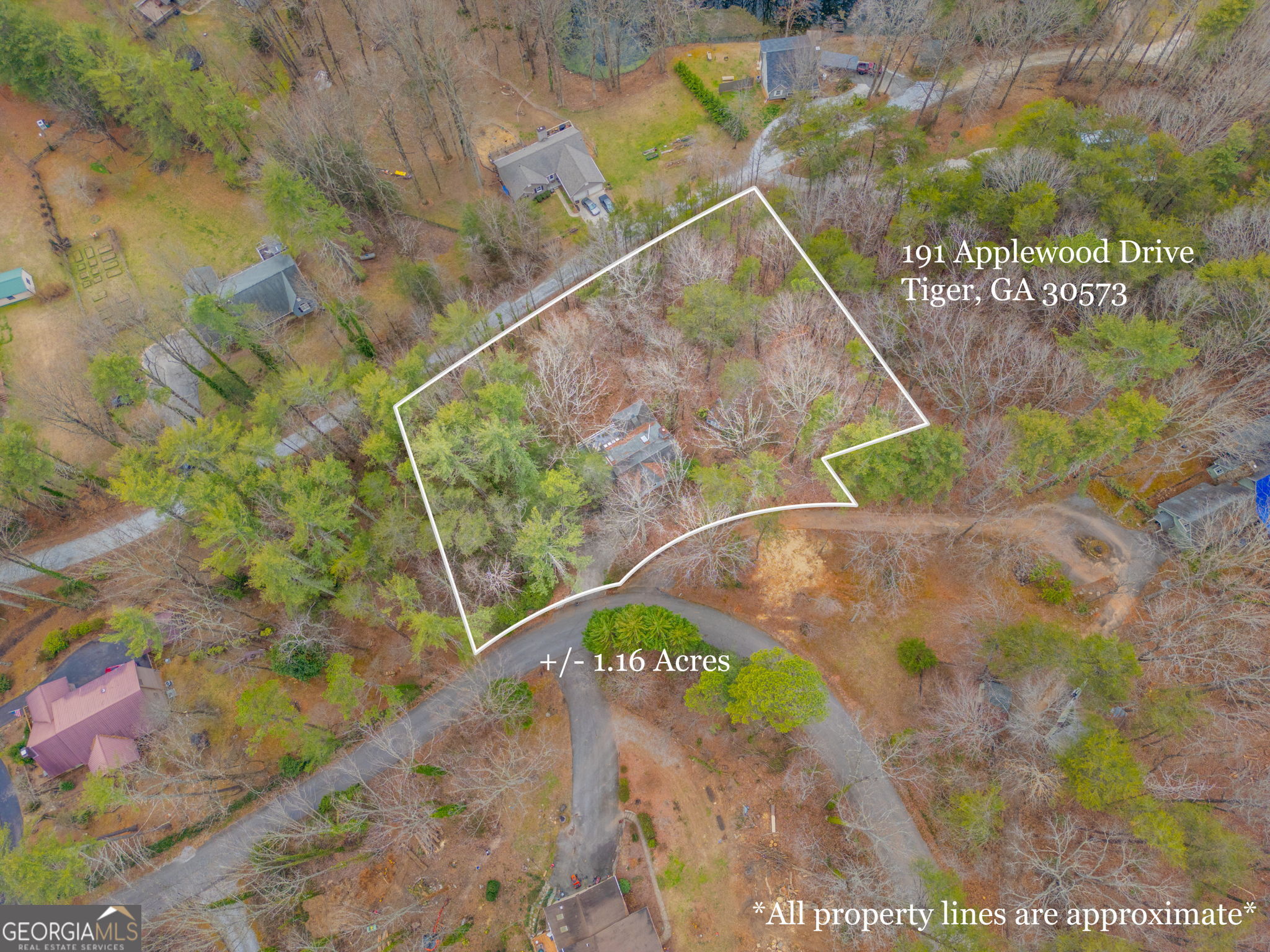 191 Applewood Drive Tiger GA 30576