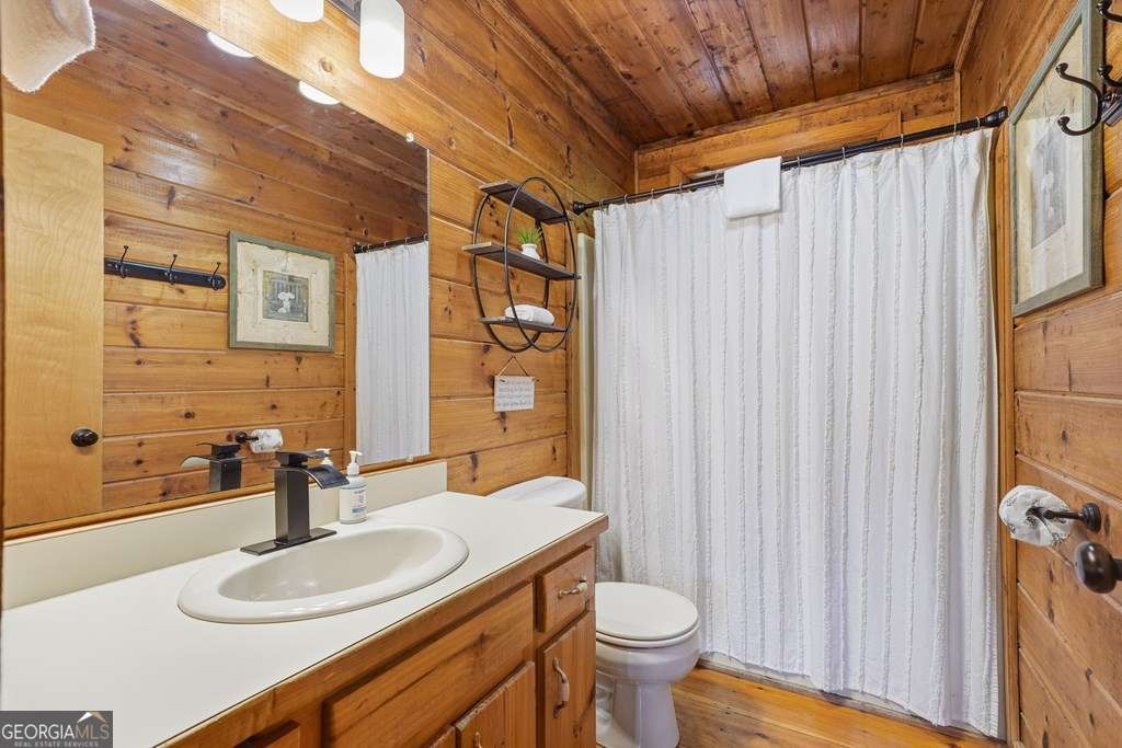 399 Laurel Mountain Road Blue Ridge GA 30513