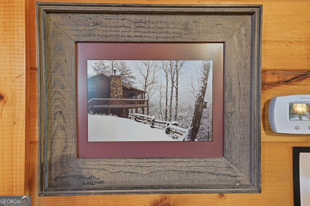 399 Laurel Mountain Road Blue Ridge GA 30513