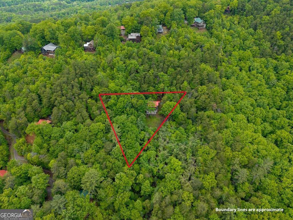 399 Laurel Mountain Road Blue Ridge GA 30513