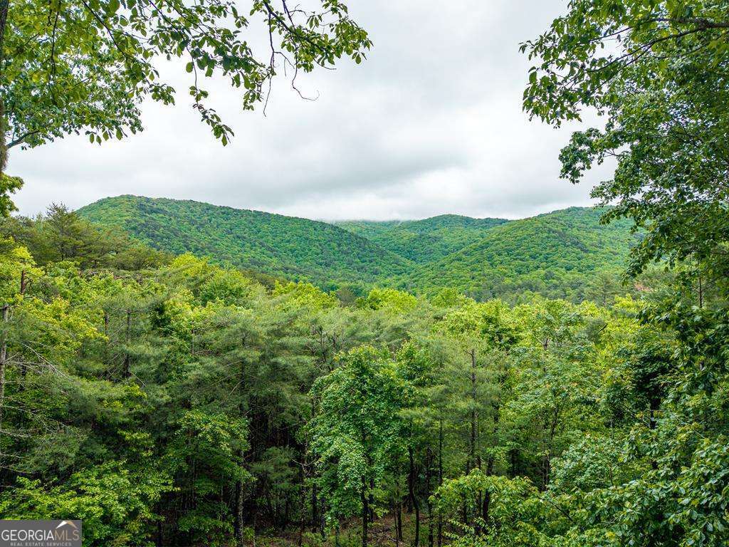399 Laurel Mountain Road Blue Ridge GA 30513