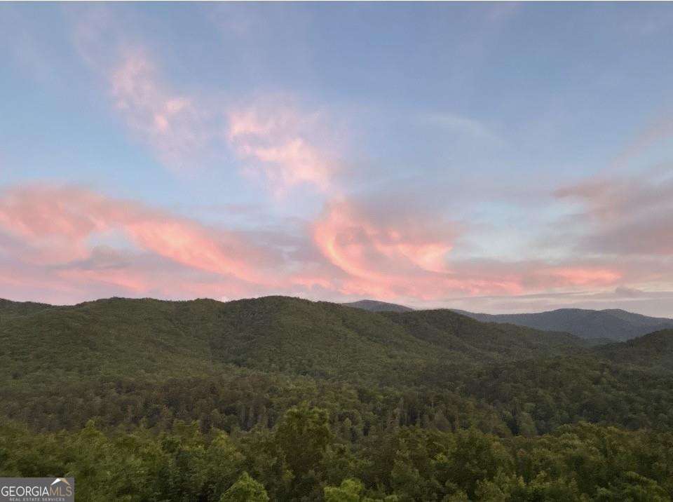399 Laurel Mountain Road Blue Ridge GA 30513