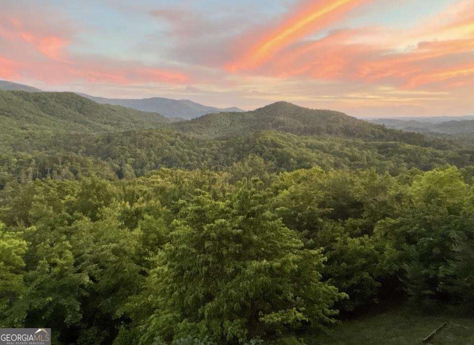 399 Laurel Mountain Road Blue Ridge GA 30513
