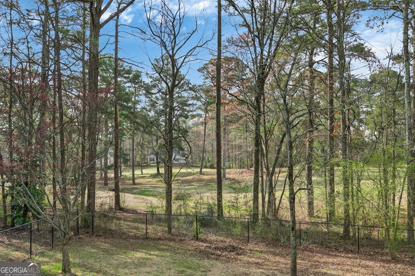 8993 Dornoch Circle Winston GA 30187