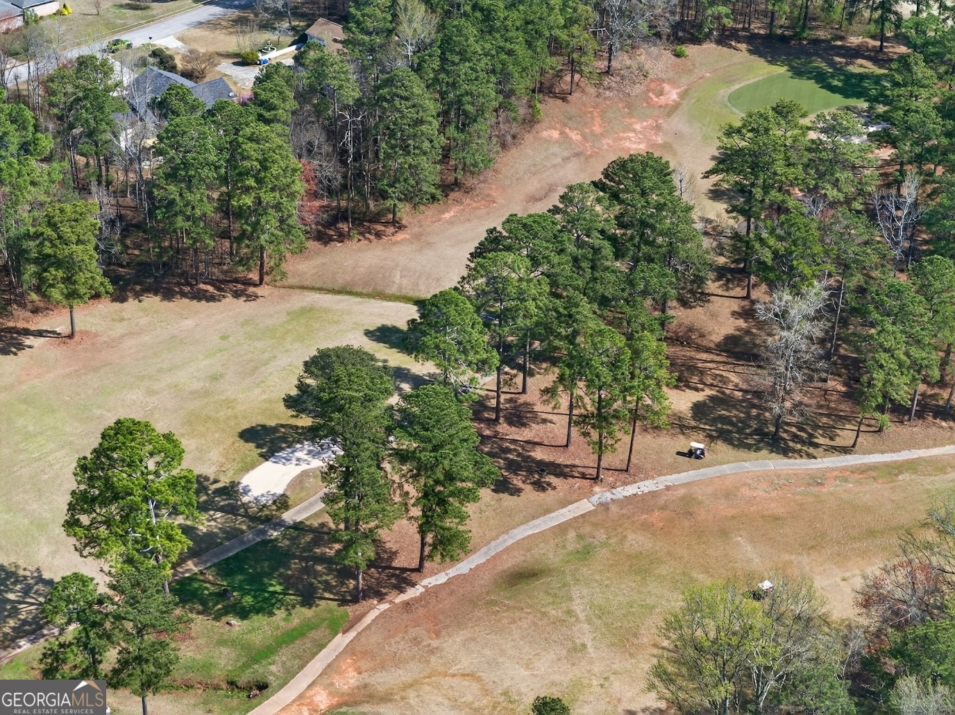 8993 Dornoch Circle Winston GA 30187