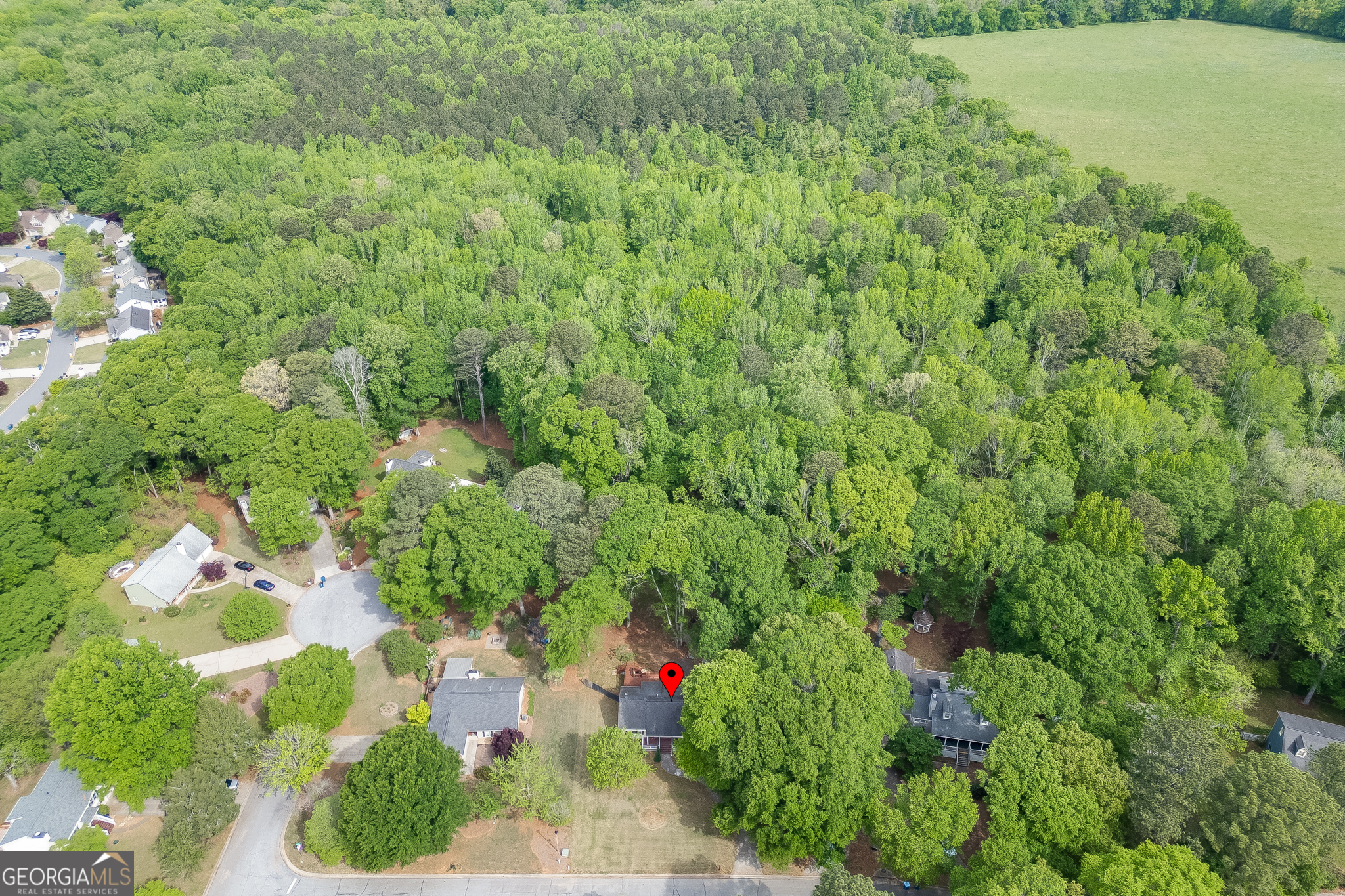 3089 Mill Run Court Duluth GA 30097
