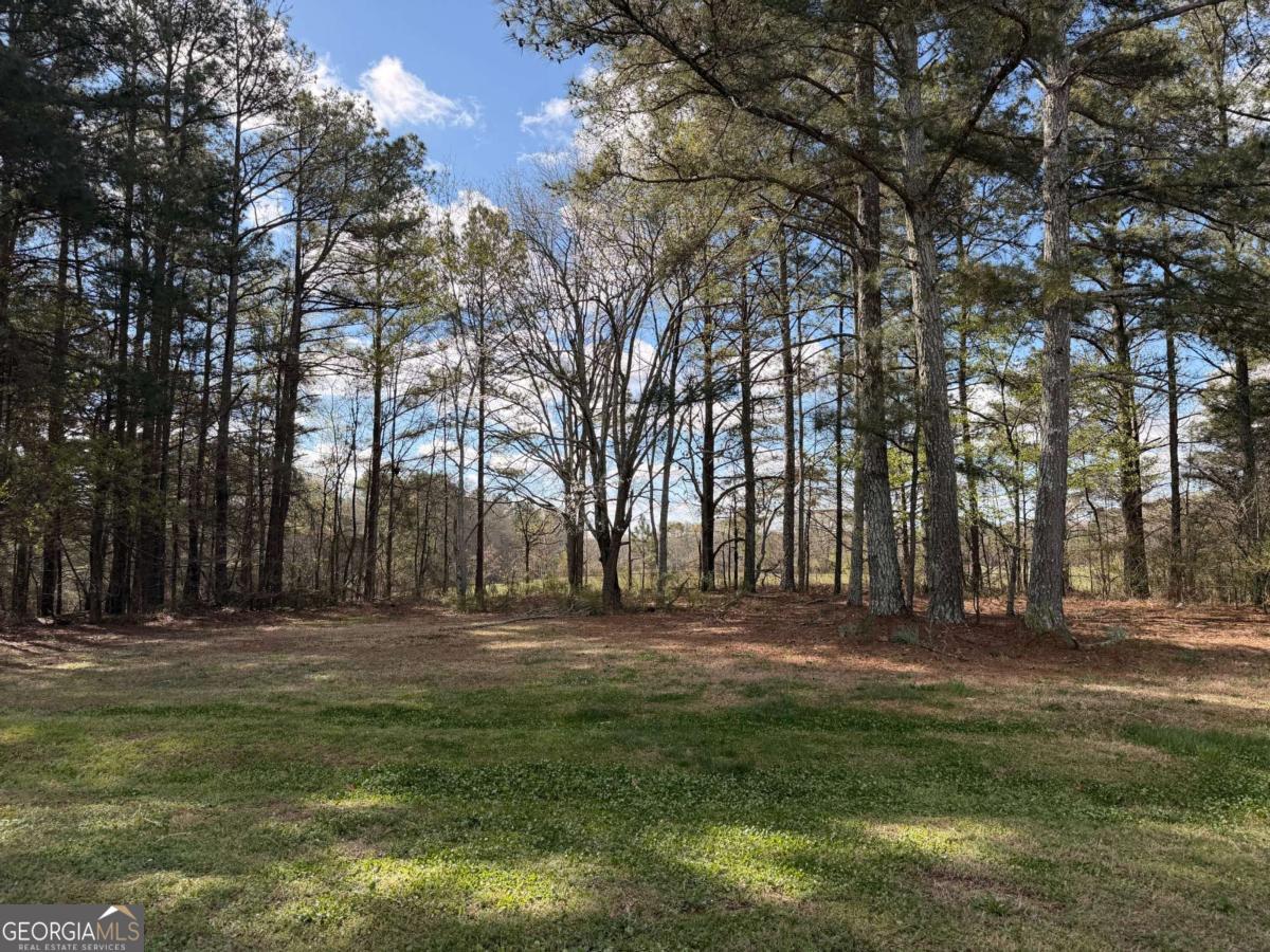 54 Alana Court Dallas GA 30157