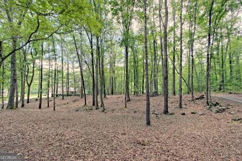 299 Old Homestead Lane Hayesville NC 28904