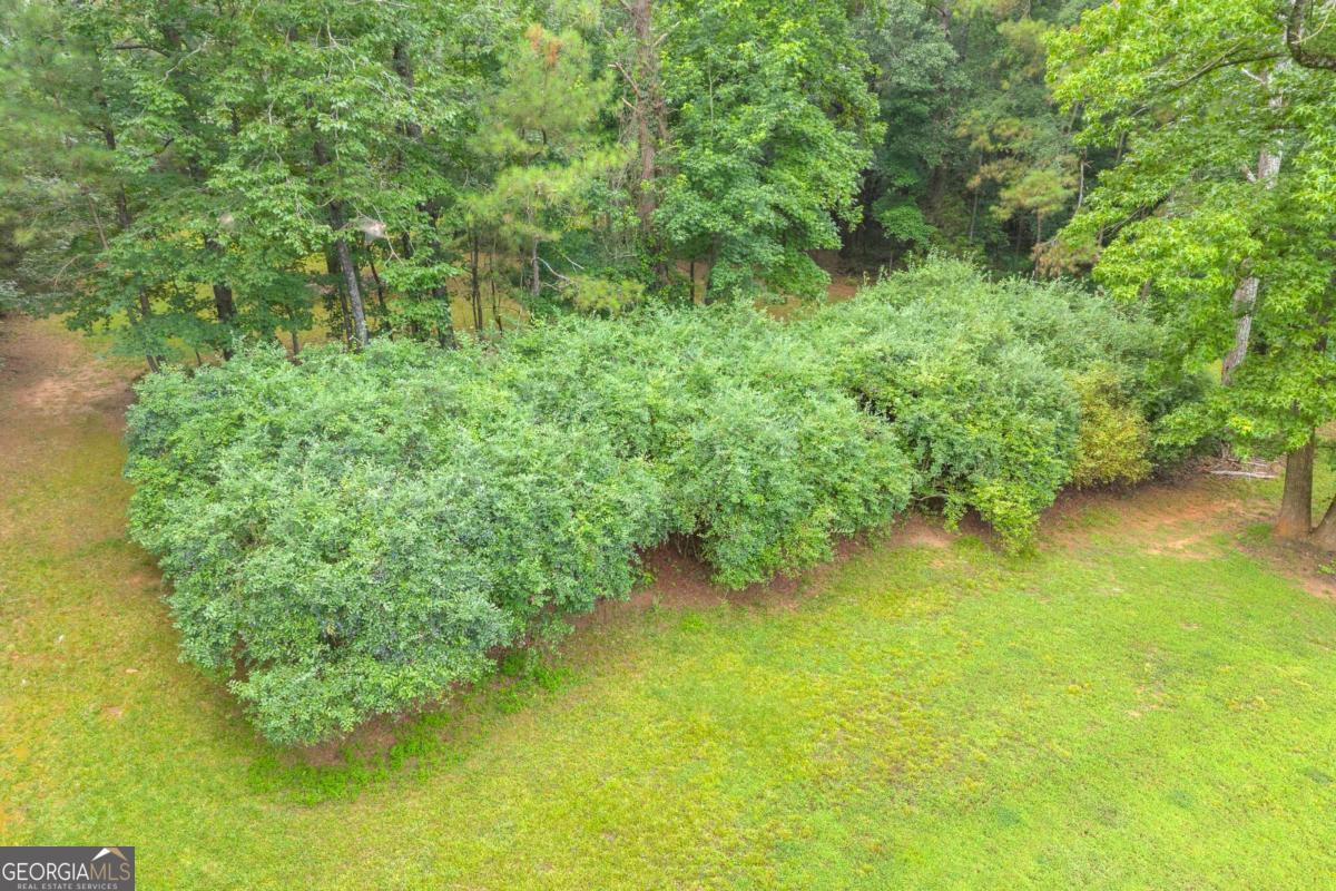 81 Paul Lane Crawford GA 30630