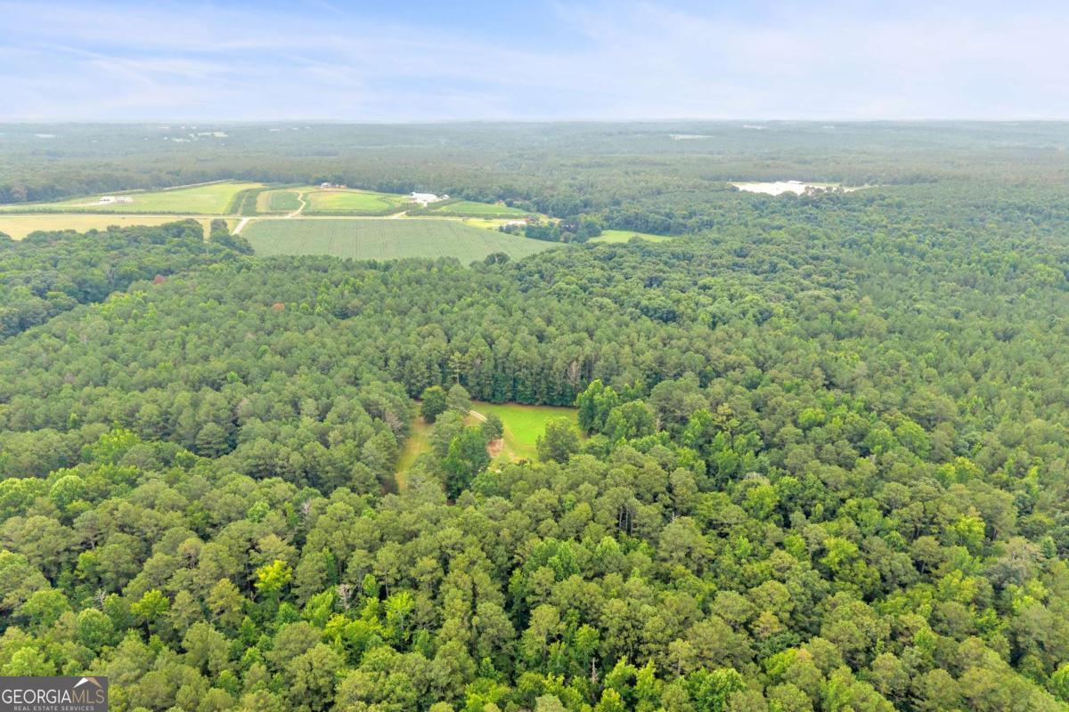 81 Paul Lane Crawford GA 30630