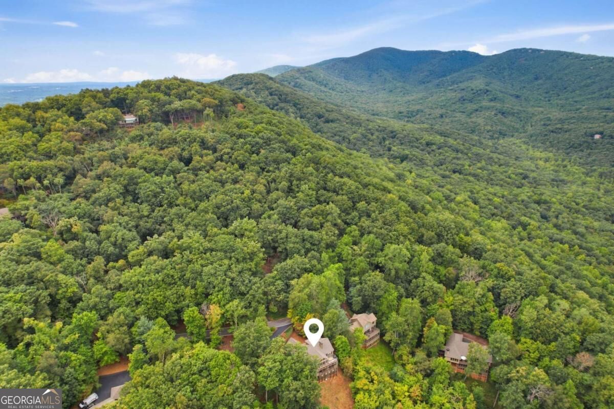 337 Disharoon Drive Big Canoe GA 30143