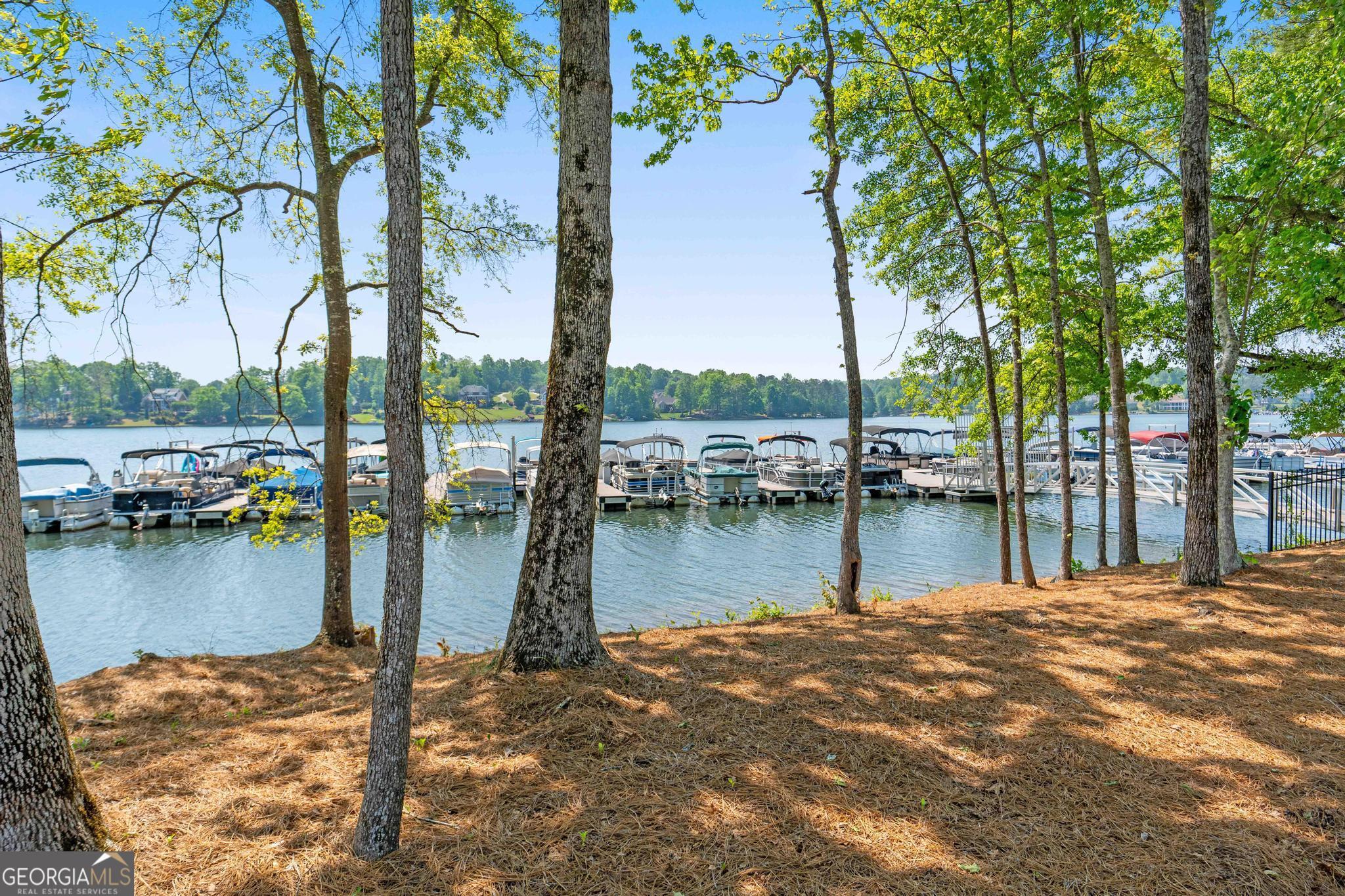 54 North Cove Drive Newnan GA 30263