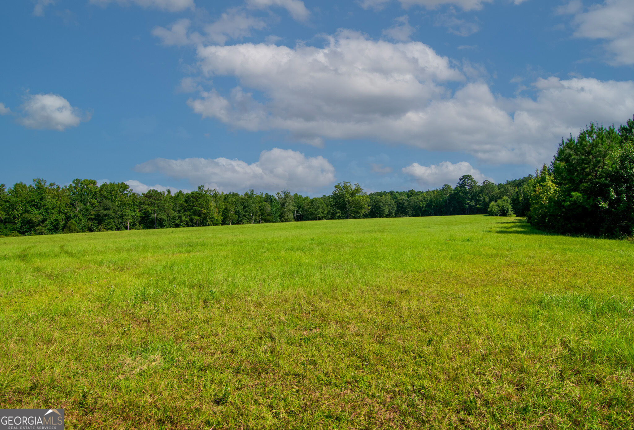 616 Twin Lakes Road Waverly Hall GA 31831