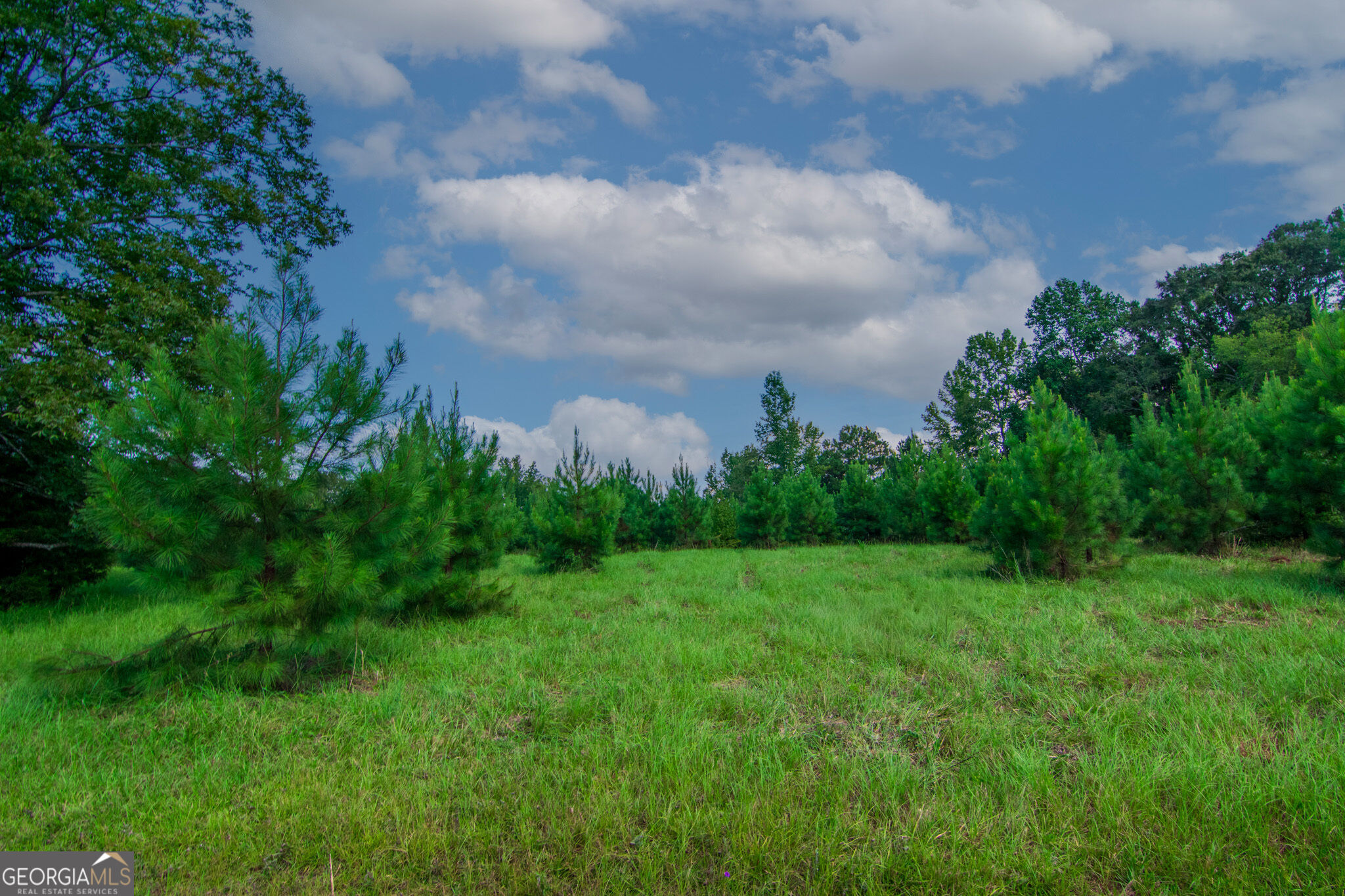 616 Twin Lakes Road Waverly Hall GA 31831