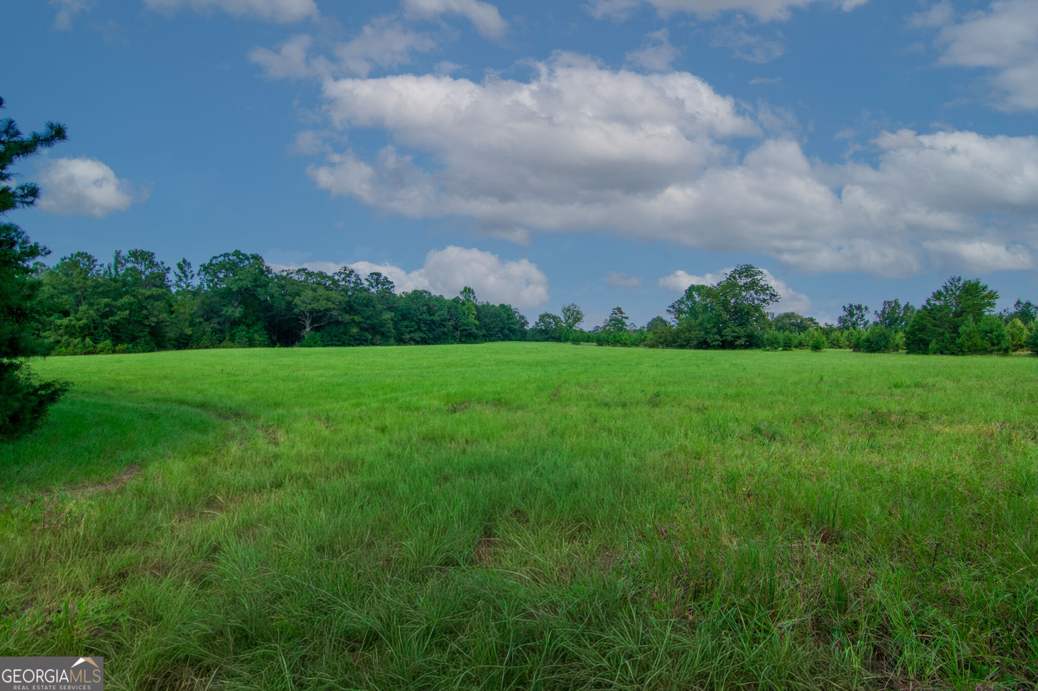 616 Twin Lakes Road Waverly Hall GA 31831