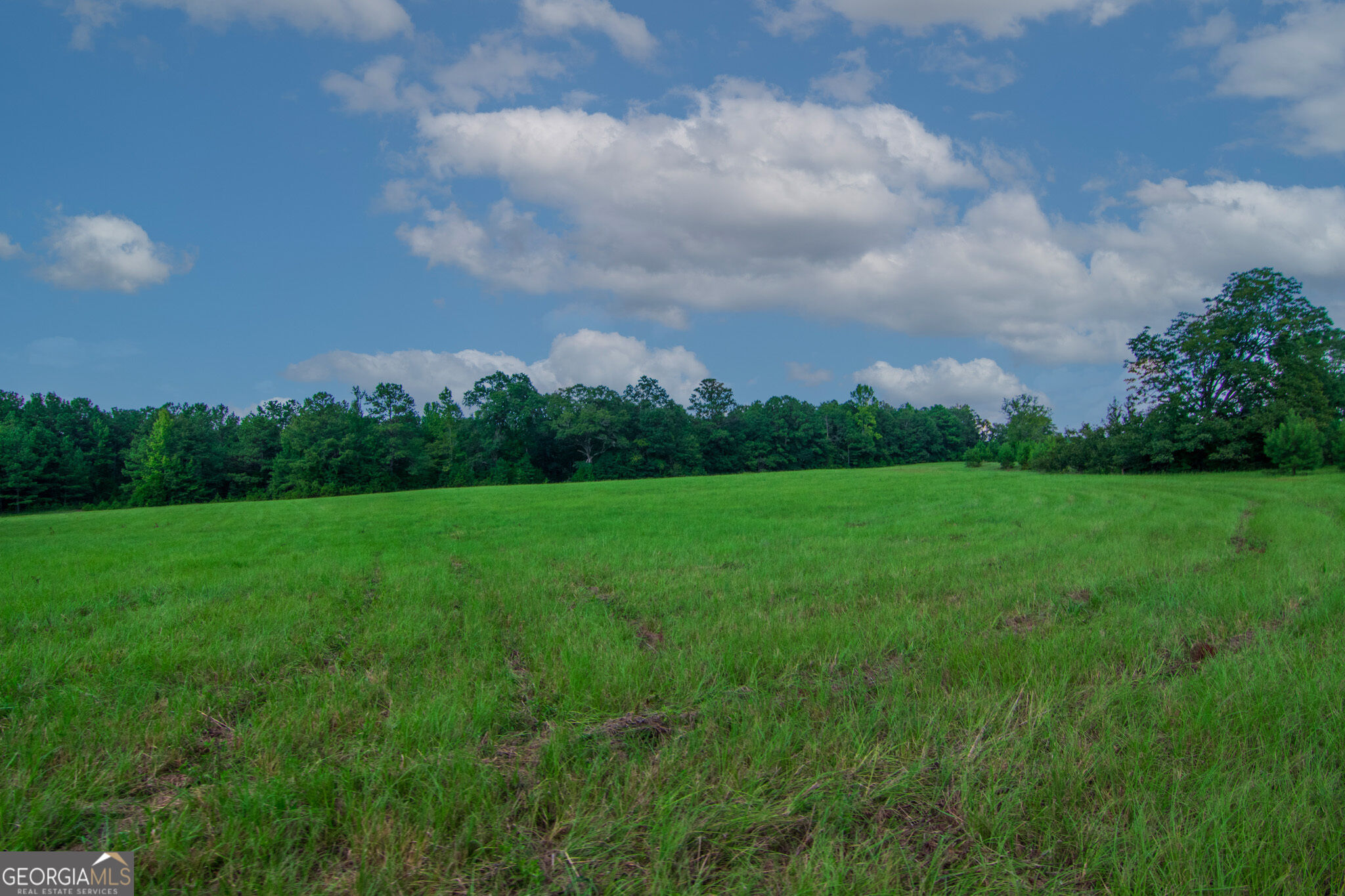 616 Twin Lakes Road Waverly Hall GA 31831