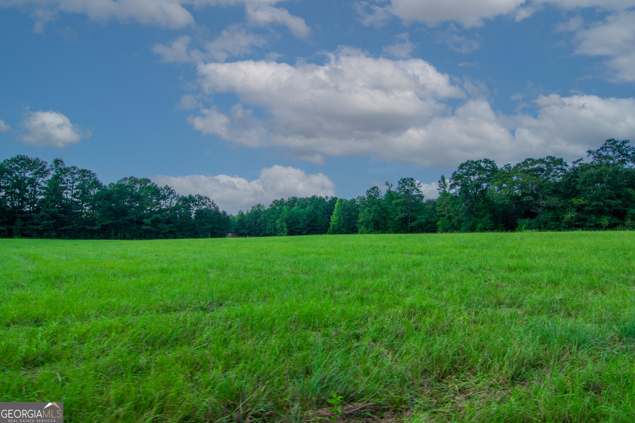 616 Twin Lakes Road Waverly Hall GA 31831