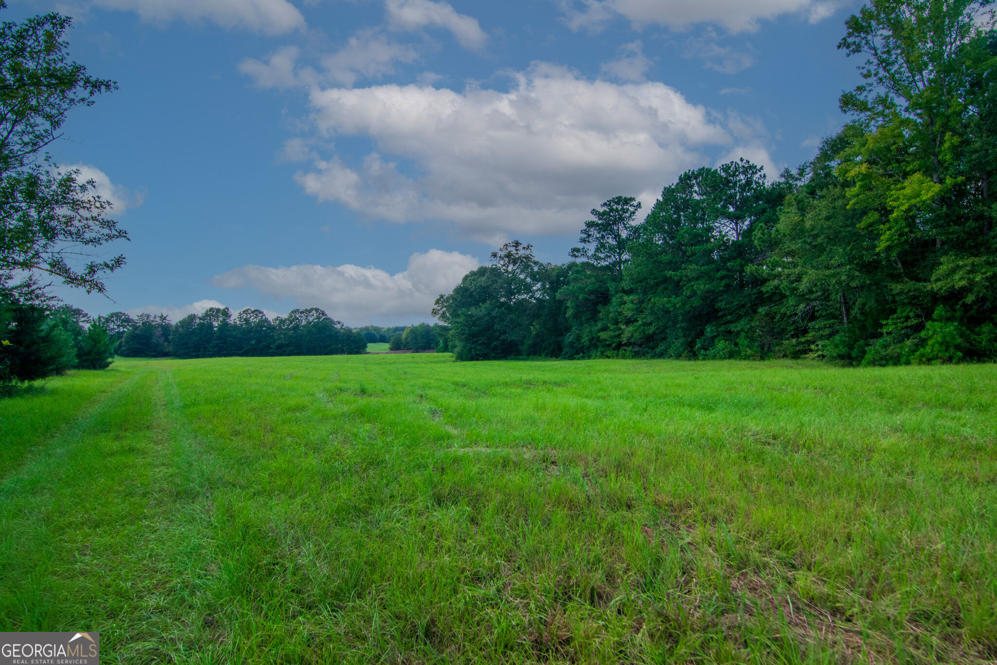 616 Twin Lakes Road Waverly Hall GA 31831