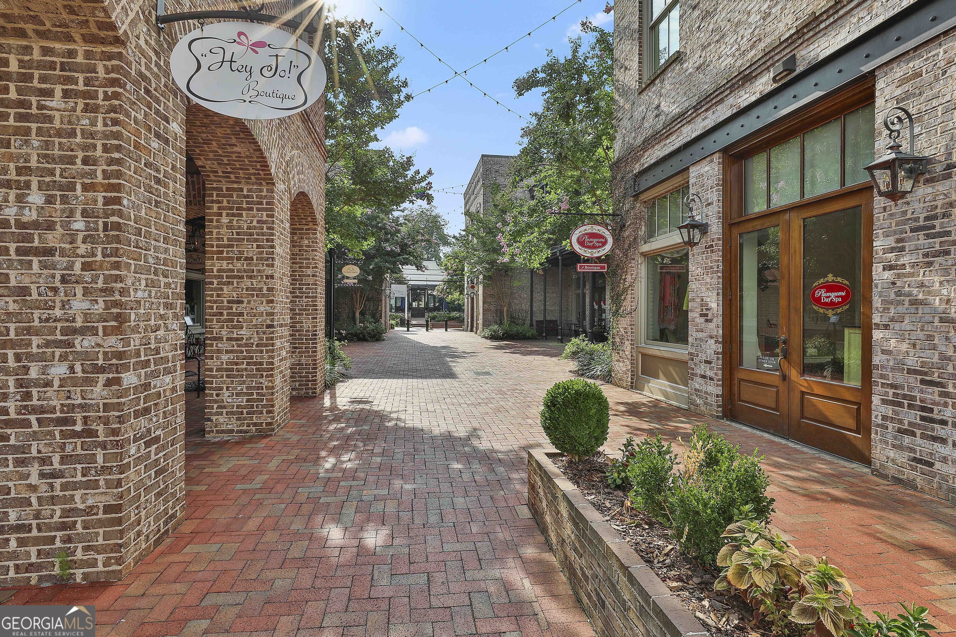 25 Lower Creek Trail Senoia GA 30276