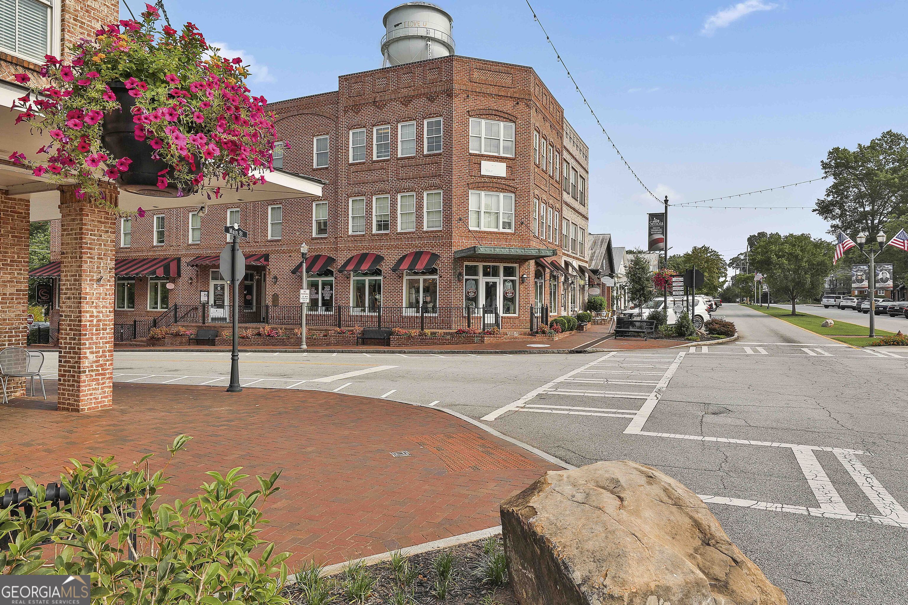 25 Lower Creek Trail Senoia GA 30276