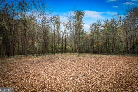 40 Cherry Street East Ellijay GA 30539