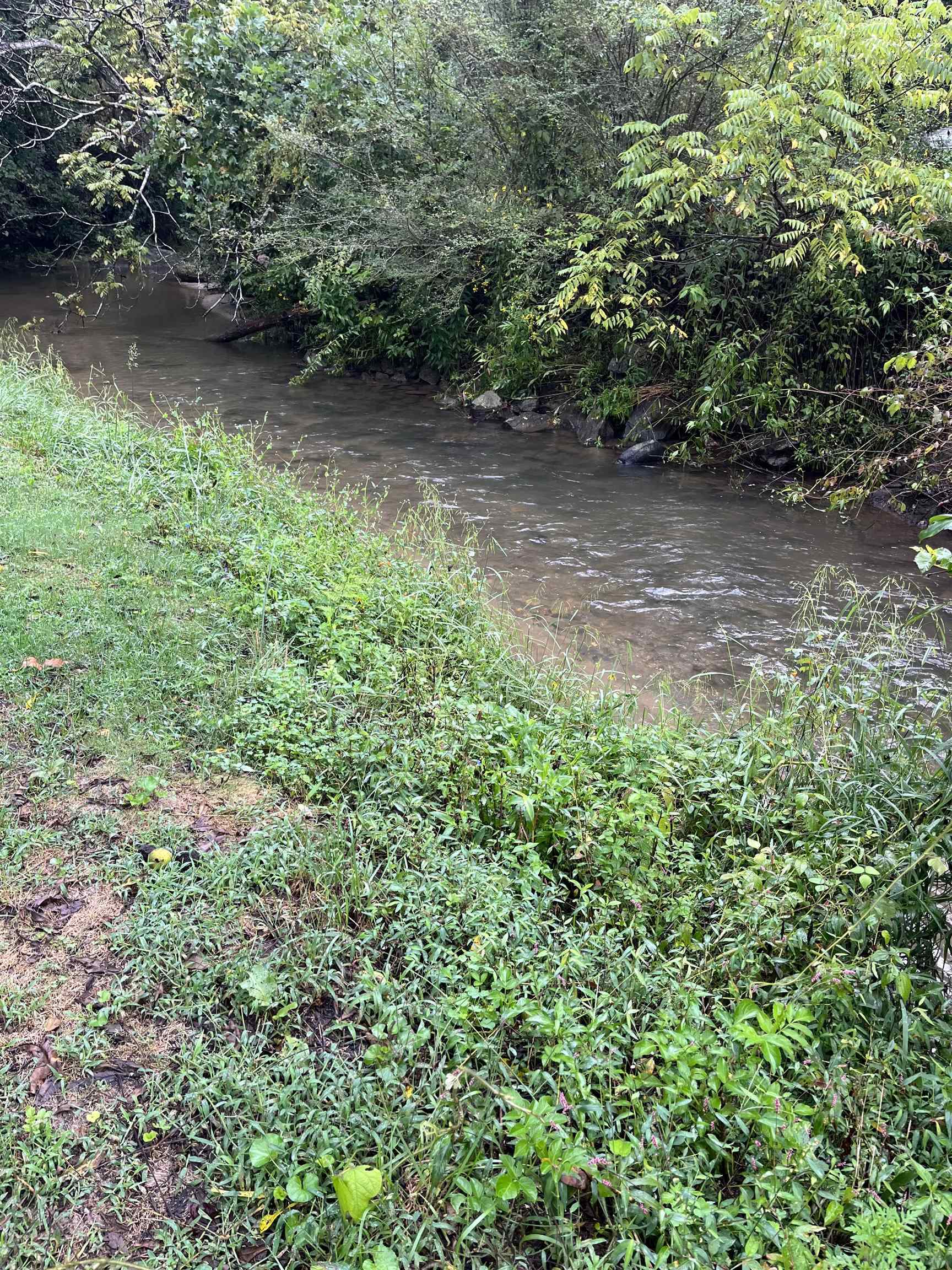 5 Bryson Branch Road Clayton GA 30525