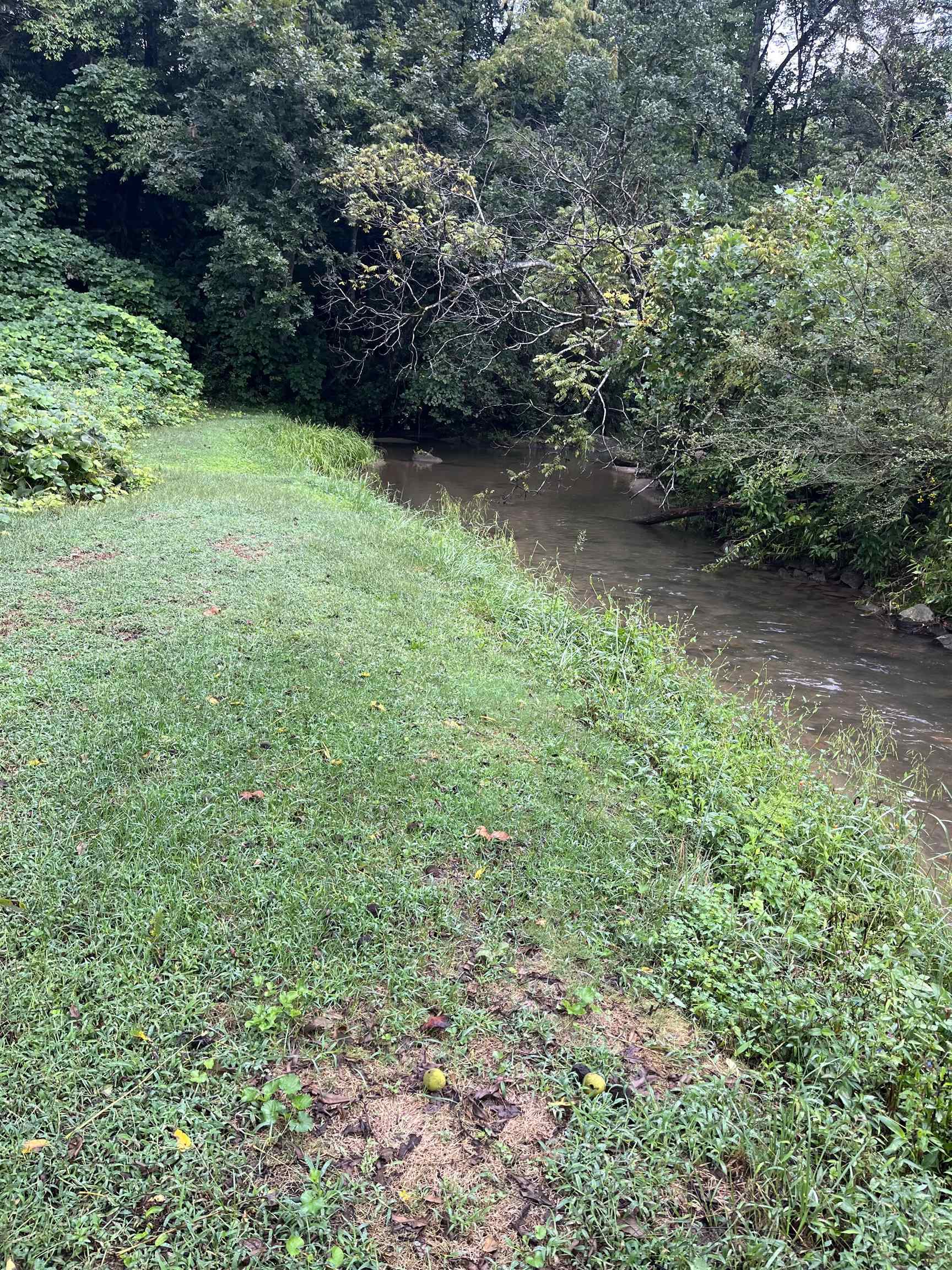 5 Bryson Branch Road Clayton GA 30525