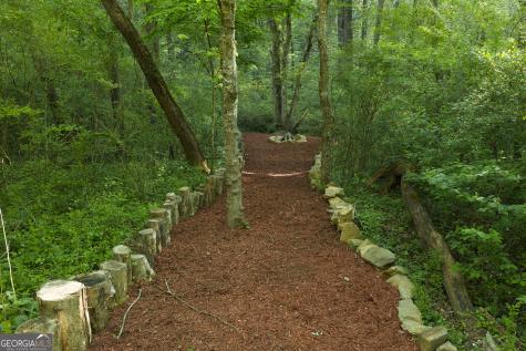 138 Rhondas Way Ellijay GA 30540