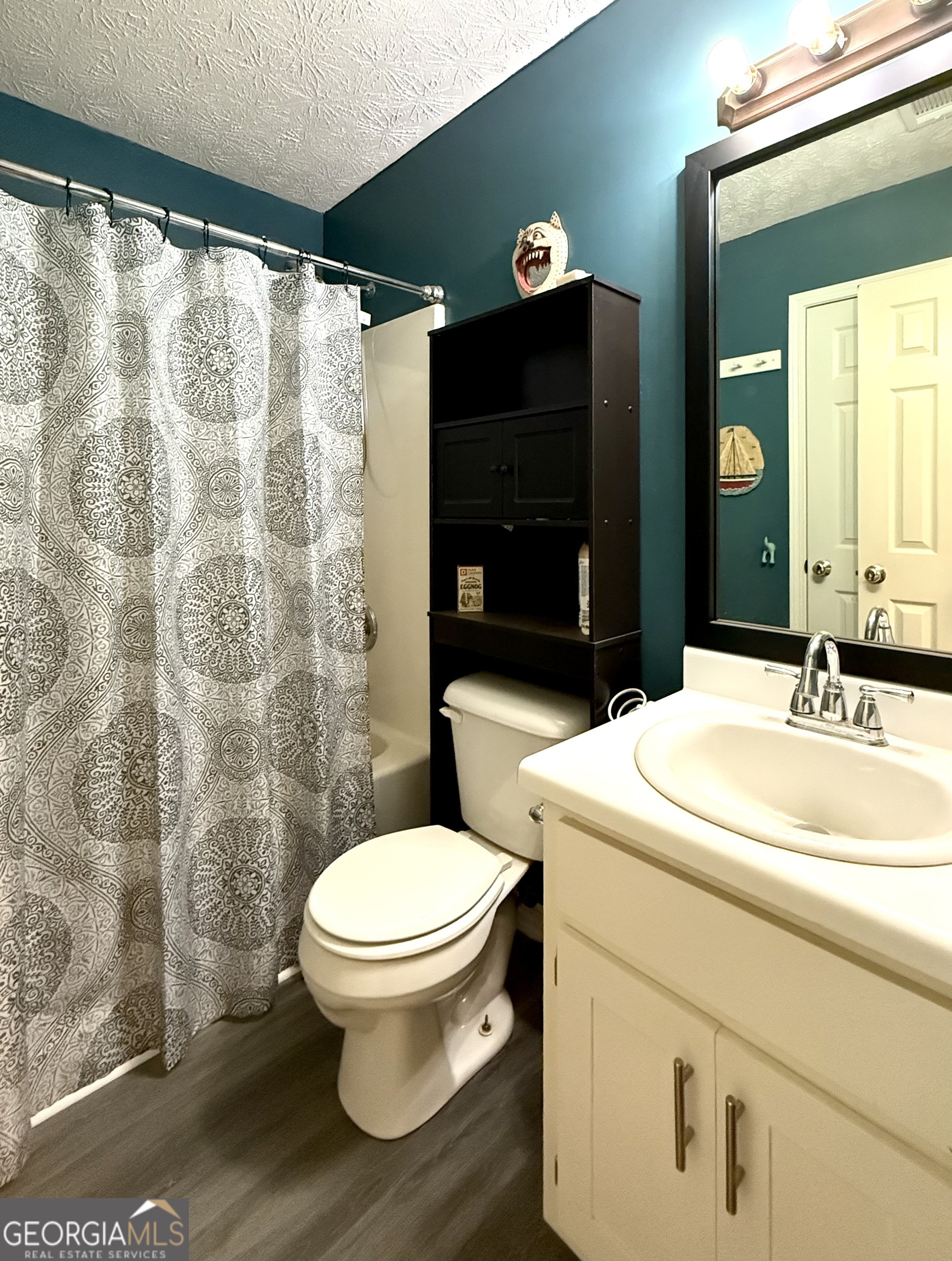 4359 Saddlewood Court Gillsville GA 30543