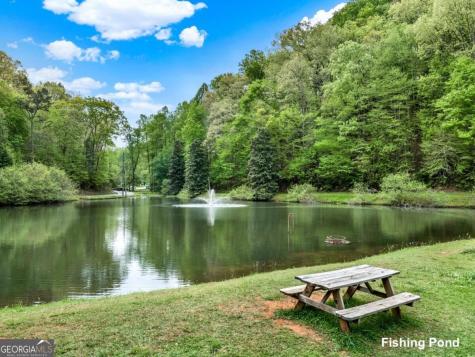 35 Dora Lane Ellijay GA 30540