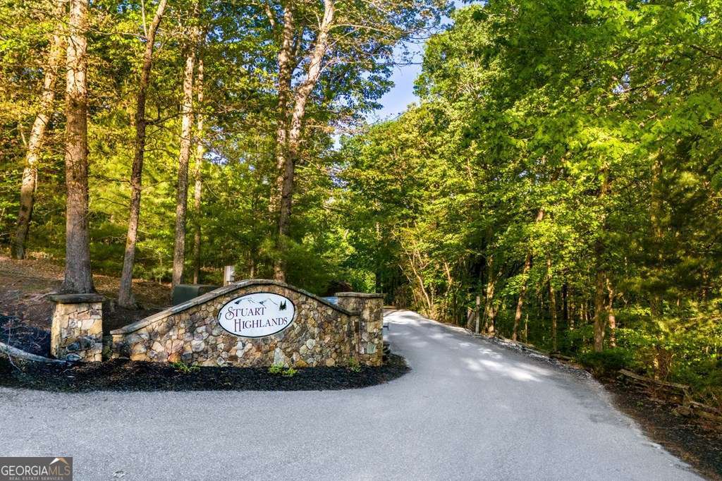 66 Ross Drive Mineral Bluff GA 30559