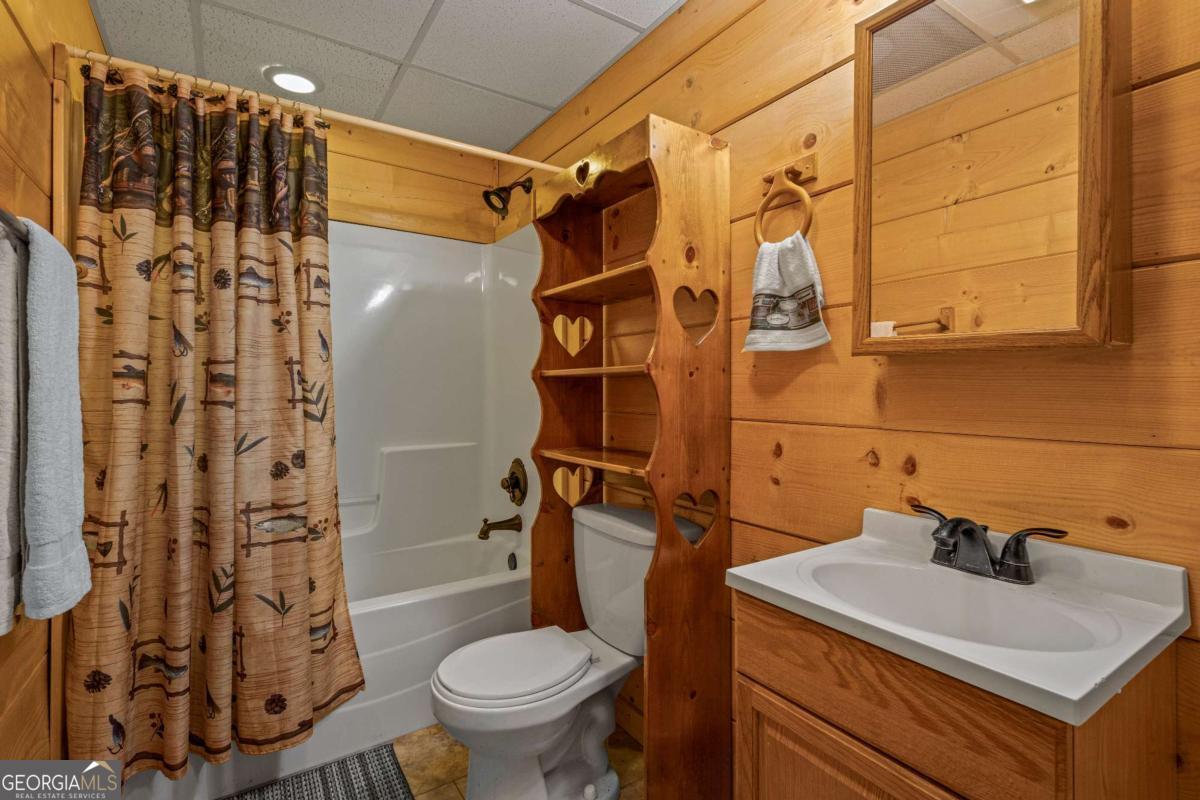 166 Dallas Lane Blue Ridge GA 30513