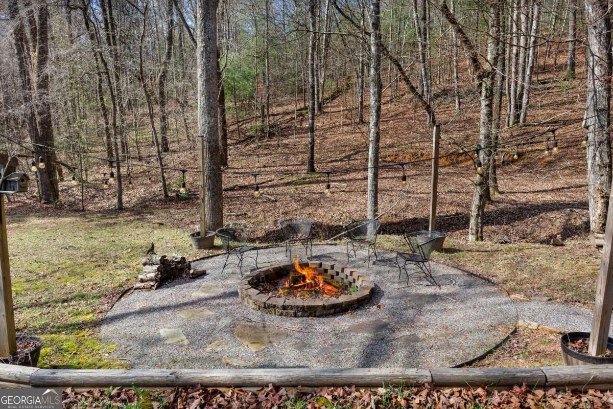 166 Dallas Lane Blue Ridge GA 30513