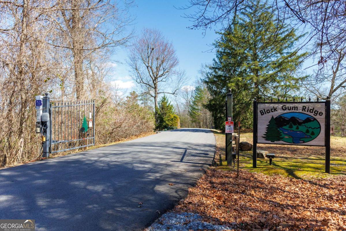 166 Dallas Lane Blue Ridge GA 30513