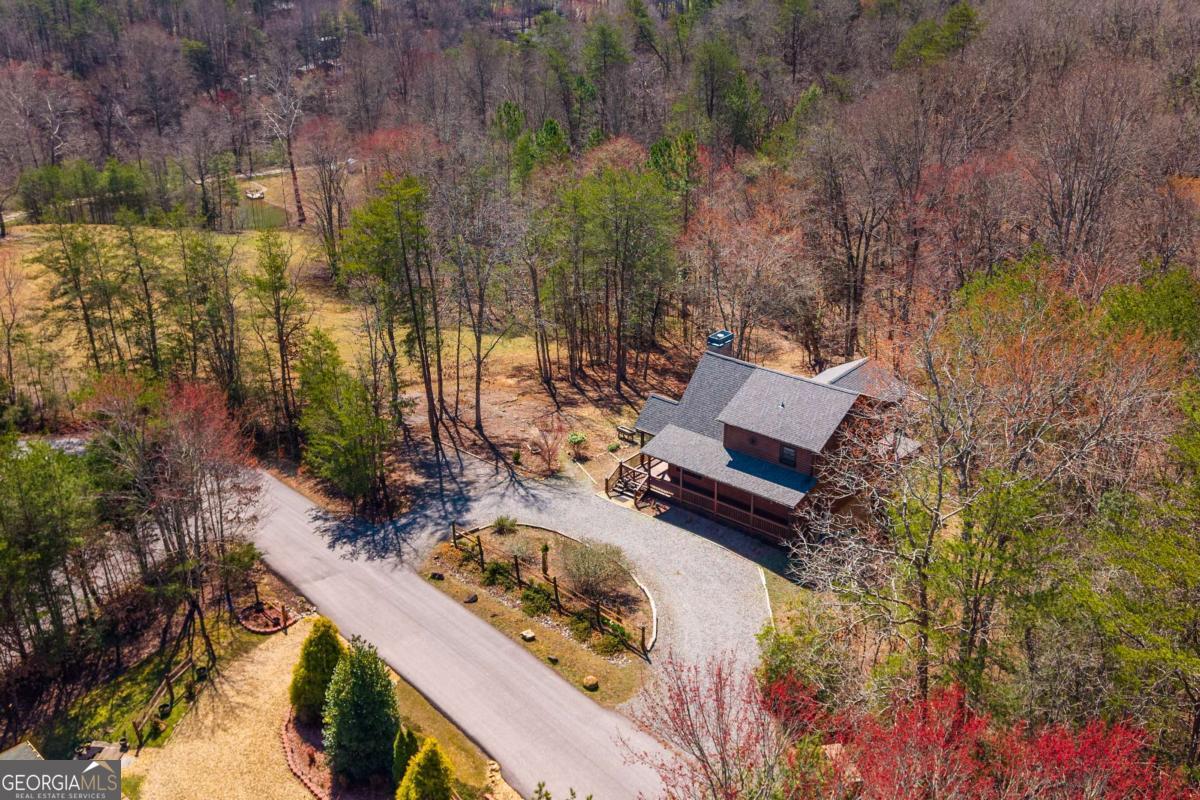 166 Dallas Lane Blue Ridge GA 30513