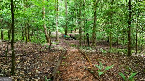 141 Cady Lane Cleveland GA 30528