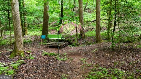 141 Cady Lane Cleveland GA 30528