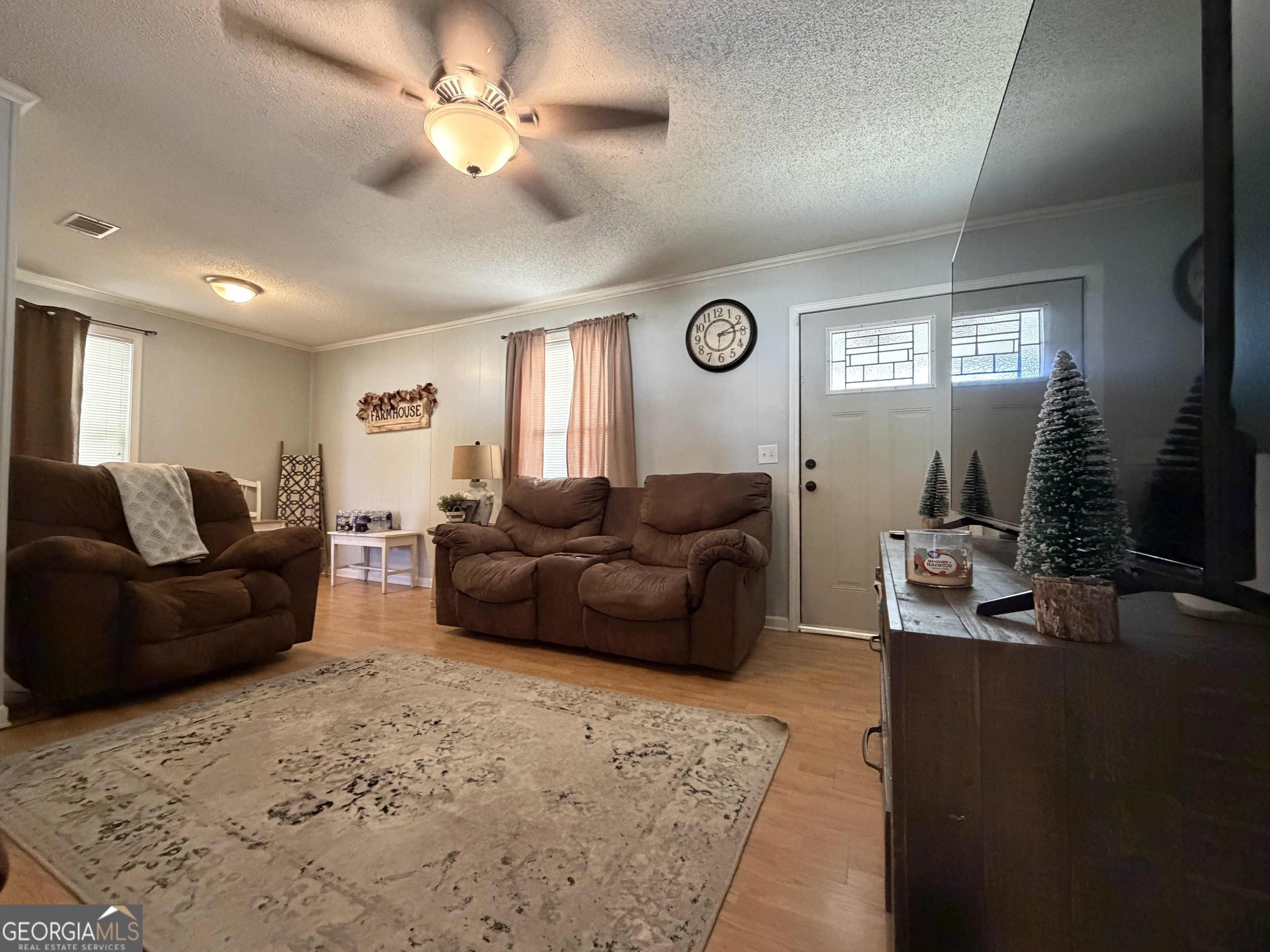 53 Carey Drive Hazlehurst GA 31539