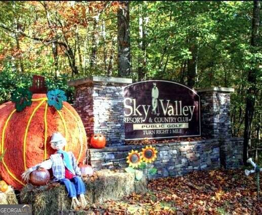 19 Aerie Lane Sky Valley GA 30537